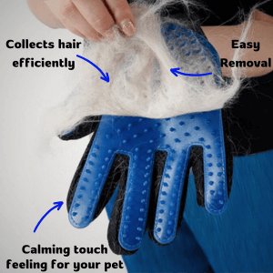 PetLuxe™ Family Bundle