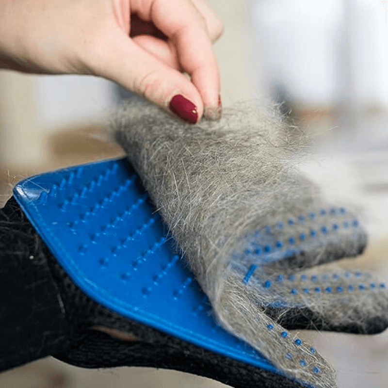 PetLuxe™ Hair Grooming Gloves