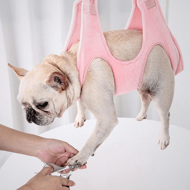PetLuxe™ Grooming Hammock