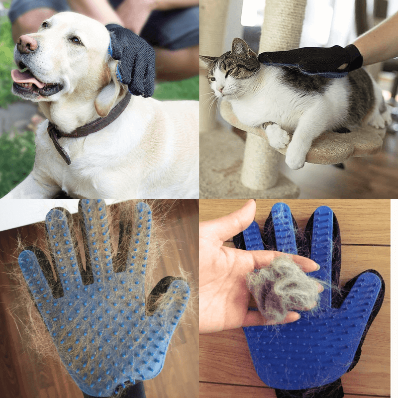 PetLuxe™ Hair Grooming Gloves
