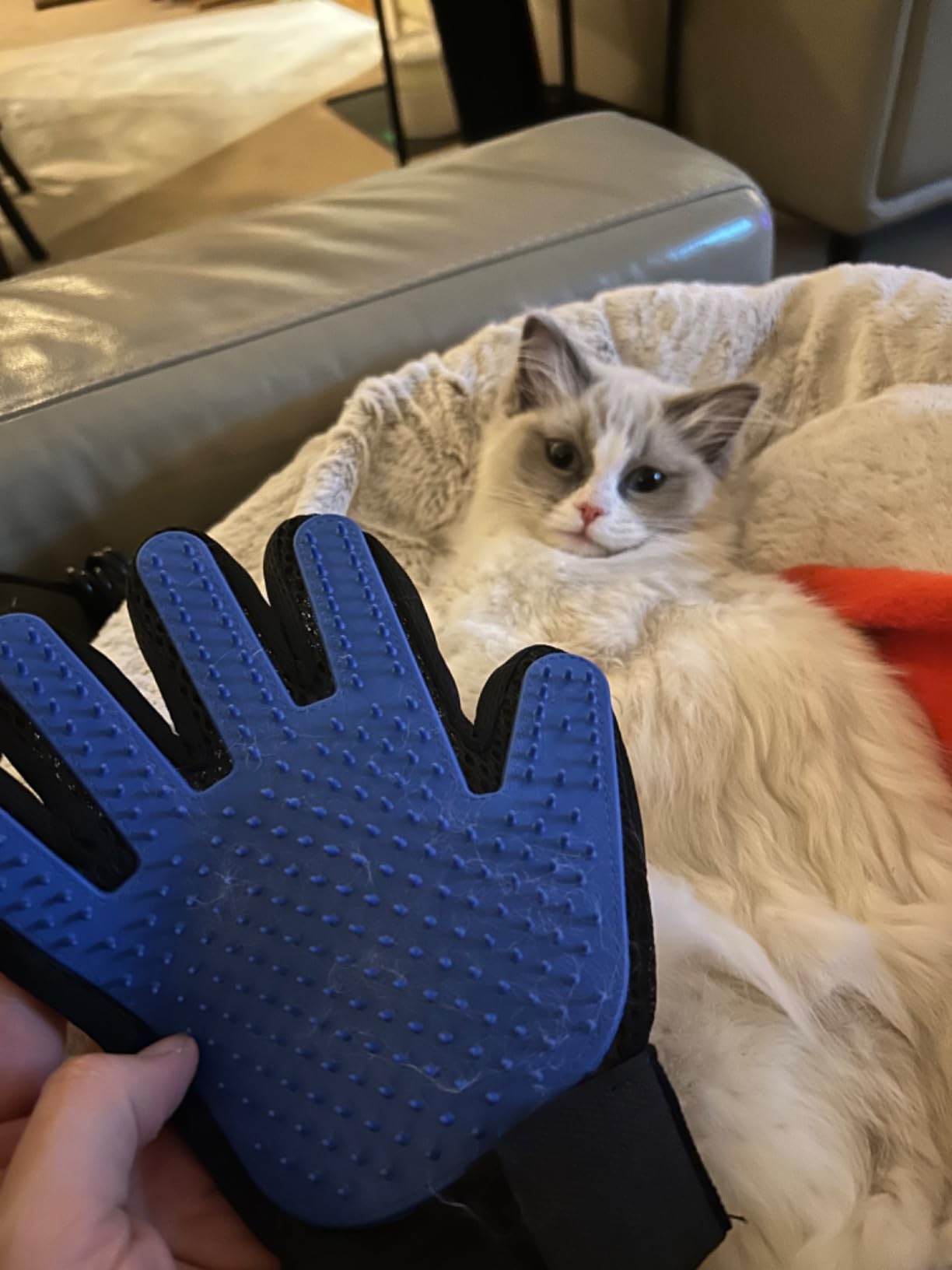 PetLuxe™ Premium Bundle