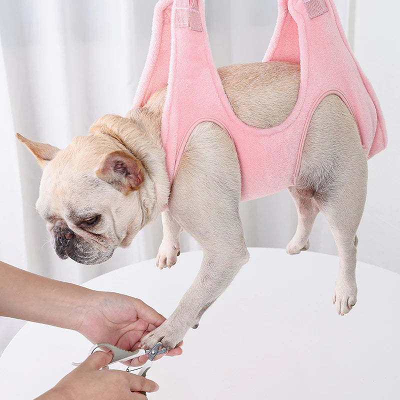 PetLuxe™ Premium Bundle